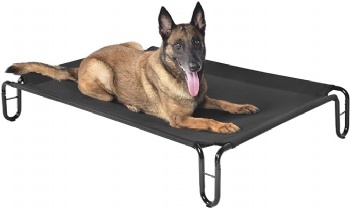 Elevated Outdoor Dog Bed