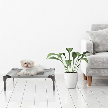 Elevated Dog Bed - Portable Pet Bed with Non-Slip Feet - IndoorOutdoor Dog Cot or Puppy Bed for Pets up to 25lbs (Gray)