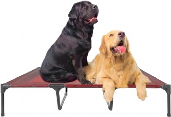 Elevated Dog Bed Waterproof Outdoor, Portable Raised Dog Bed, Dog Bed Off the Floor, Dog Bed Easy Clean Indoor or Outdoor Use, Medium, Red
